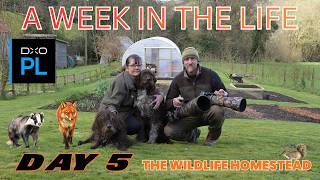 A WEEK IN THE LIFE  Day 5 - Trip Up North - Stick Painting - DxO