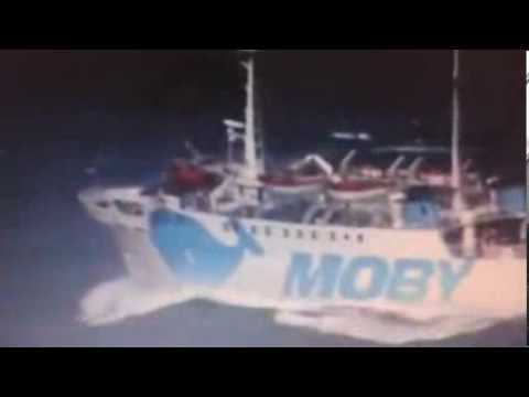 Mare mosso all' Isola d' Elba di Pierpaolo Mazza - Pubblicato in data 10/nov/2013