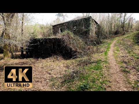 Solo Exploration in the Abandoned Mill & Factory in the Forest, Urbex & Hike in Galicia 4k