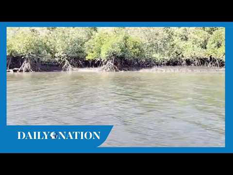 The Mkanda Channel: Siltation crisis chokes Lamu’s lifeline