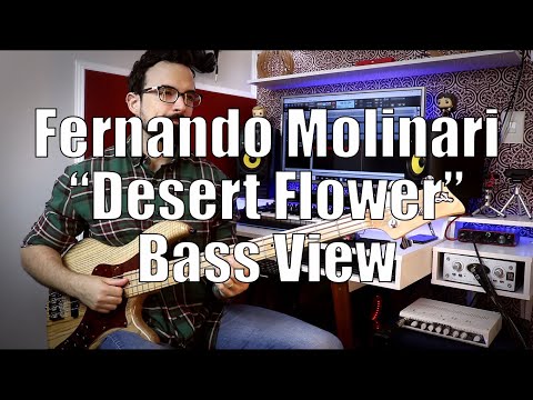 Fernando Molinari - "DESERT FLOWER" BASS VIEW