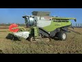 RICE HARVEST Nuova Lexion 770