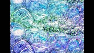 Lapalux - Closure (ft Szjerdene) (Mitch Wade Cole Remix)