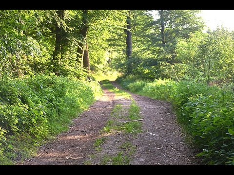 Farbmanagement, einige Ideen zur Einführung