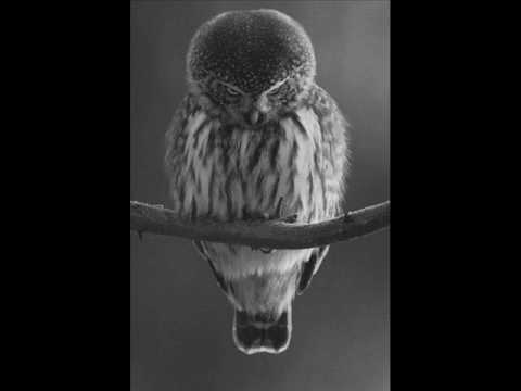 Spartaque - Bleepy (Andrea Bertolini Remix)