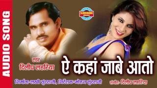 Download lagu YE KANHA JABE AATO - ये कंहा जाबे आतो - Dilip Lahariya & Rajkumari - Audio Song - Folk Song mp3