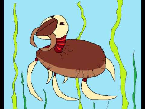Videoclip de Faithless Bacchant Song — The Mountain Goats