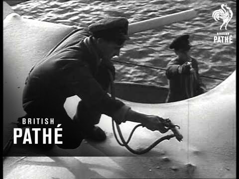 Reserve Fleet (1950)