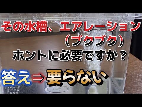 水槽の水が凍らないようにするにはどうすればよいですか?冬に幸せな鳥を育てるための簡単なヒント  庭園