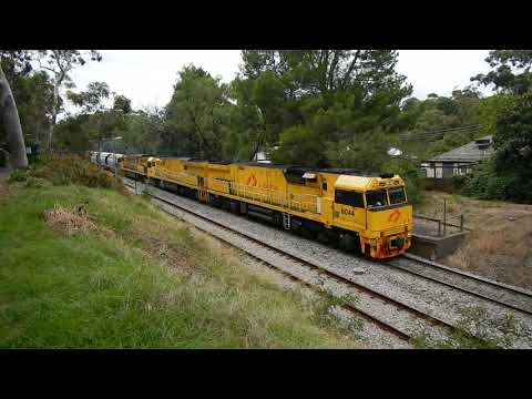 Aurizon loaded grain 4KQ6 passes through Coromandel - 19/02/2020