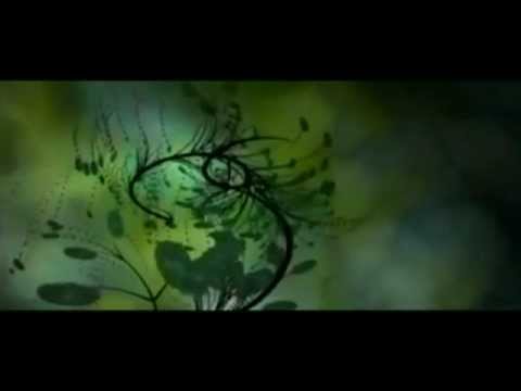 download lagu mp3 mp4 Archive Again Text, download lagu Archive Again Text gratis, unduh video klip Archive Again Text