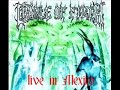 Desire In Violent Overture - Cradle Of Filth