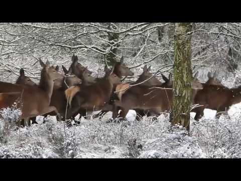 MEgional 2016 11 10 - Unsere Nachrichten für das Mittlere Erzgebirge