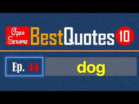 【BQ #44 - Dog】If you want a friend in Washington, get a dog