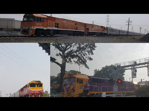 Great Southern (NR30) (NR31) +  N452 + N474