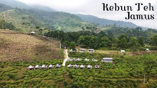 Download lagu Pemandangan Kaki Gunung Lawu👍 Agrowisata Kebun Teh Jamus Ngawi mp3 Download lagu Pemandangan Kaki Gunung Lawu👍 Agrowisata Kebun Teh Jamus Ngawi mp3