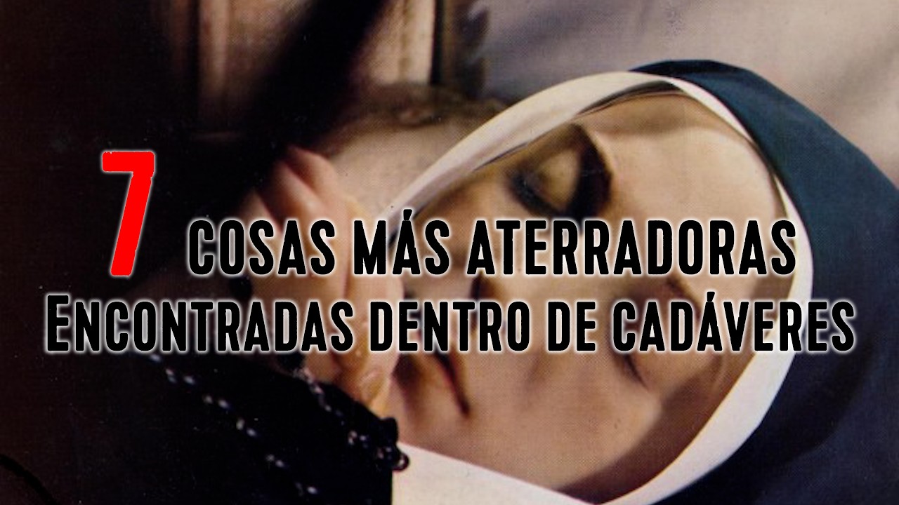 7 Cosas Más Aterradoras Encontradas dentro de Cadáveres