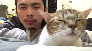 Cat and Owner Vibe Out to Music  Hotline Bling