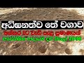අධි ඝනත්ව තේ වගාව