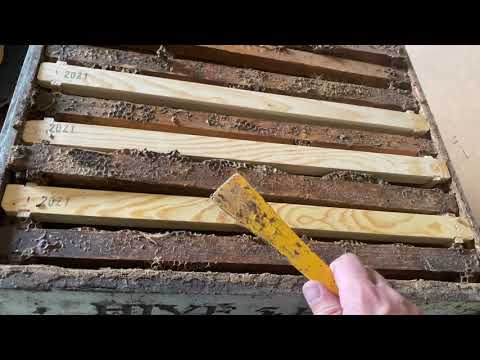 How to Checkerboard your frames