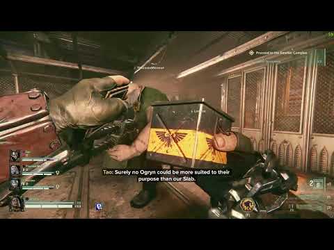 Rare instance of an Ogryn bonding with a zealot - Warhammer 40k: Darktide