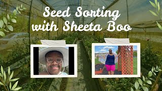 Sheeta Boo's Seed Case Shuffle - Let's see if I can get them in some type of order