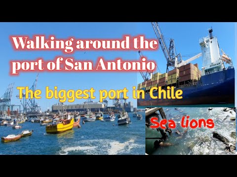 Walking around the port of San Antonio. The biggest port in Chile  #port  #sanantoniochile