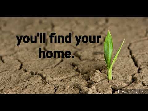 never too broken, to belong (minus one)