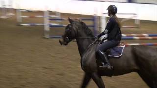 Enrico, springtræning d. 30.01.17