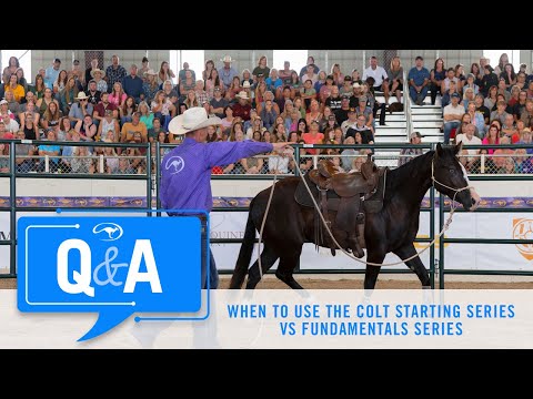 When to Use the Colt Starting Series vs the Fundamentals Series to Train a Horse - Q&A