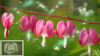 Andreas Martin - Herz an Herz