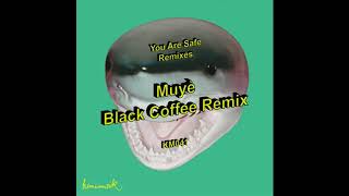 Keinemusik (Rampa, Adam Port, &ME) - Muyè (Black Coffee Remix)
