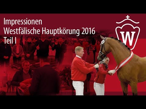 Impressionen Westfälische Hauptkörung für Reitpferdehengste 2016