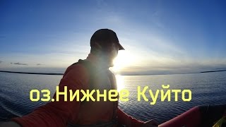 Ссылка