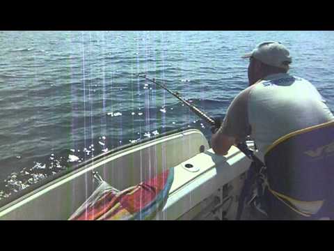 Tonno Rosso - Un pesce maleducato, che mi ha messo in difficoltà