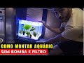 AQUÁRIO 🟢 Como montar um aquário pequeno e simples, aquário sem bomba de oxigênio