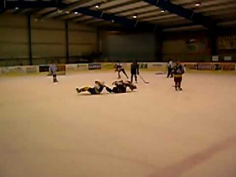 Arpy vs Braco Hockey Fight :)