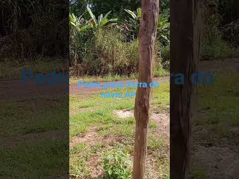 Serra do navio AP 2026