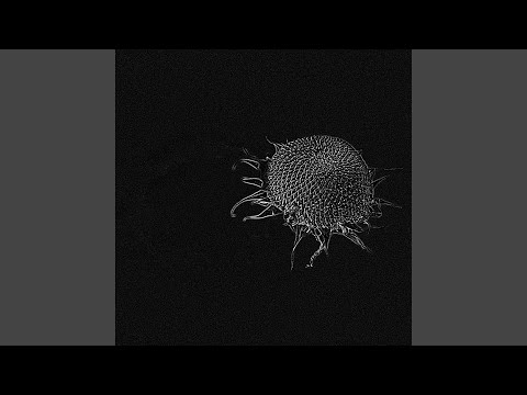 Video thumbnail for Moving