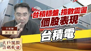 台積穩盤 指數震盪  個股表現 台積電 (圖)