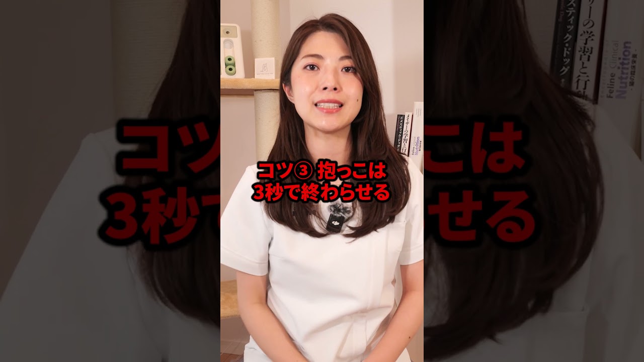 抱っこ嫌いな猫さんをデレデレにするコツ3選