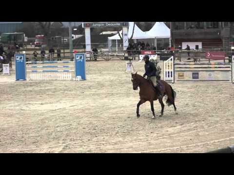 Amant du Chateau - 6 ans Qualification au chronomètre Deauville