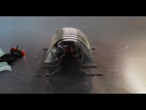 Blender VFX shortfilm -  Kitchen Escape - Top Grade Finals Exam - Mathias Rothausen #VFXShort