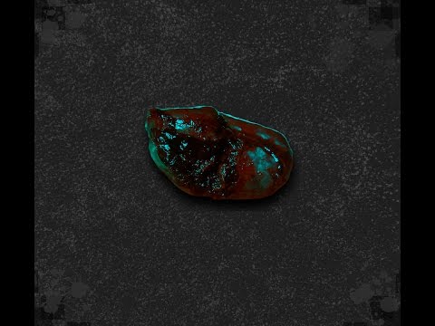 Video thumbnail for Planta Carnivora