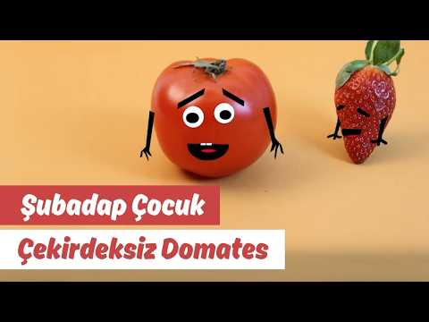 Çekirdeksiz Domates | Animasyon | Şubadap Çocuk