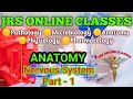 Nervous System Anatomy Part 1 Common Class Lecture In Hindi By JRS ONLINE CLASSES