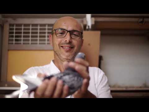 2019 International Barcelona Pigeon Race Champion -  "JEF"