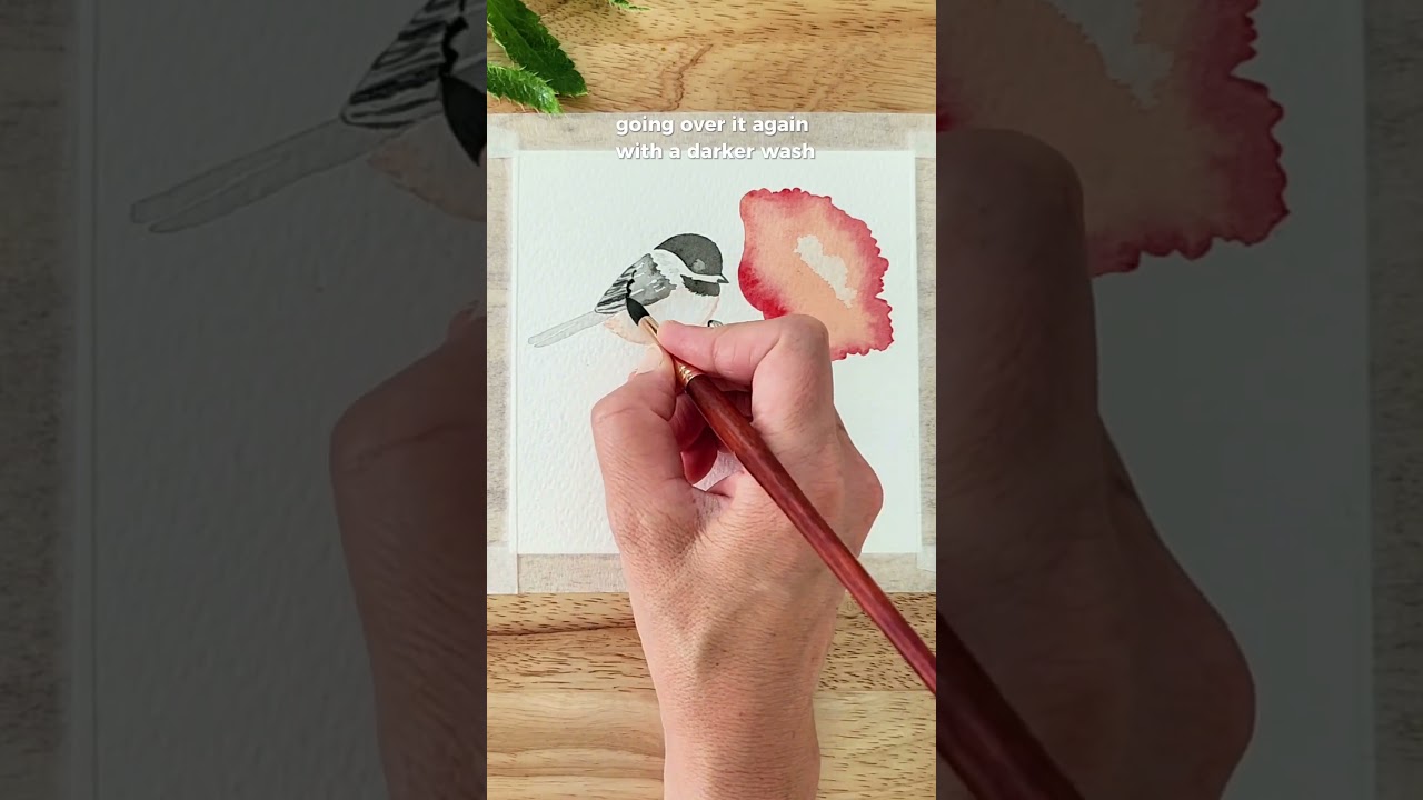 Let's Paint a Chickadee & Poppy! A step by step watercolor tutorial! 🥰 printable outline in comments