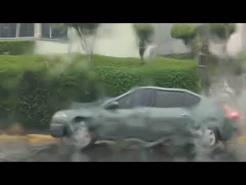 Processo de Criação