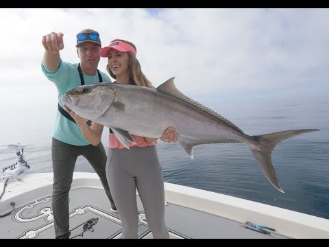 Fighting GIANT Amberjack FISH in the OCEAN (Florida Offshore Fishing)